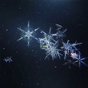 国内真实愉拍系列在线
