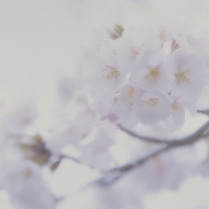 国内真实愉拍系列在线
