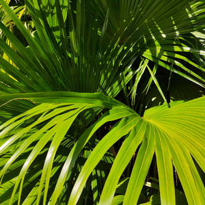 国内真实愉拍系列在线
